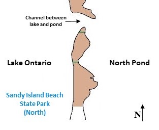 Thumbnail Image 1